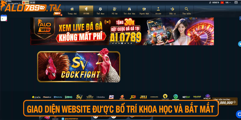Giao diện website được bố trí khoa học và bắt mắt