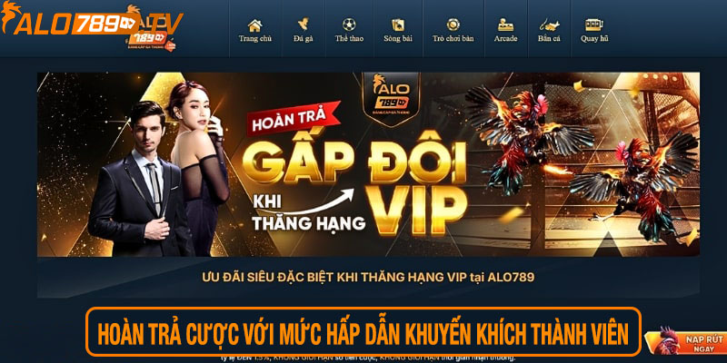 Hoàn trả cược với mức hấp dẫn khuyến khích thành viên tham gia mỗi ngày